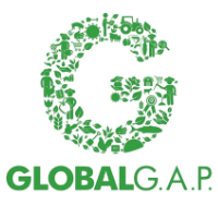 Global gap