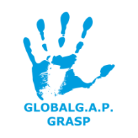 Grasp